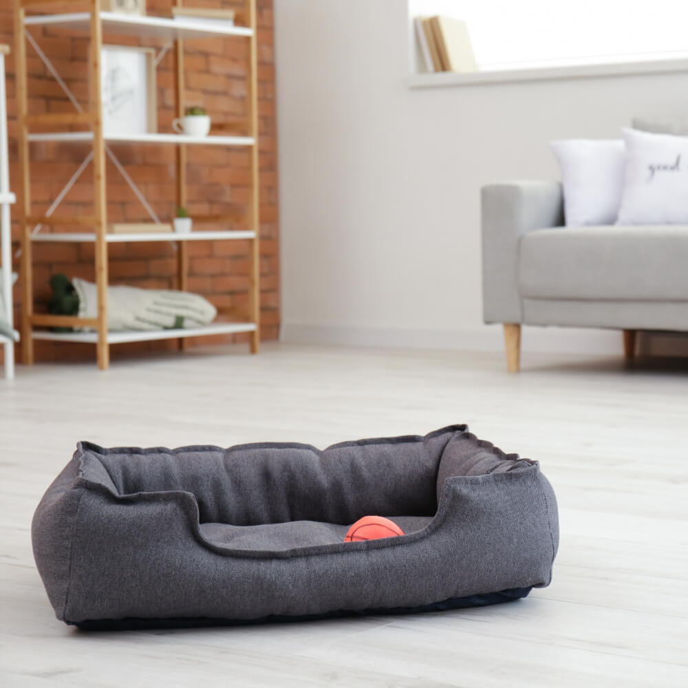 お気に入りのベッドに。